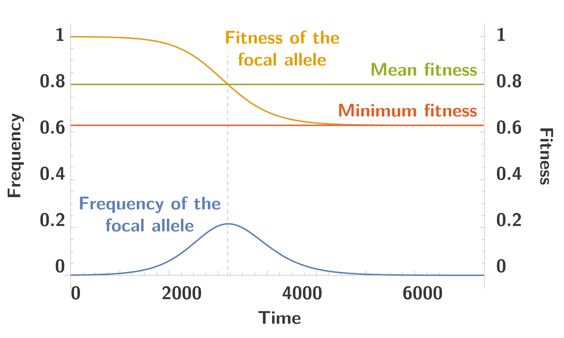 Trajectory of a focal allele