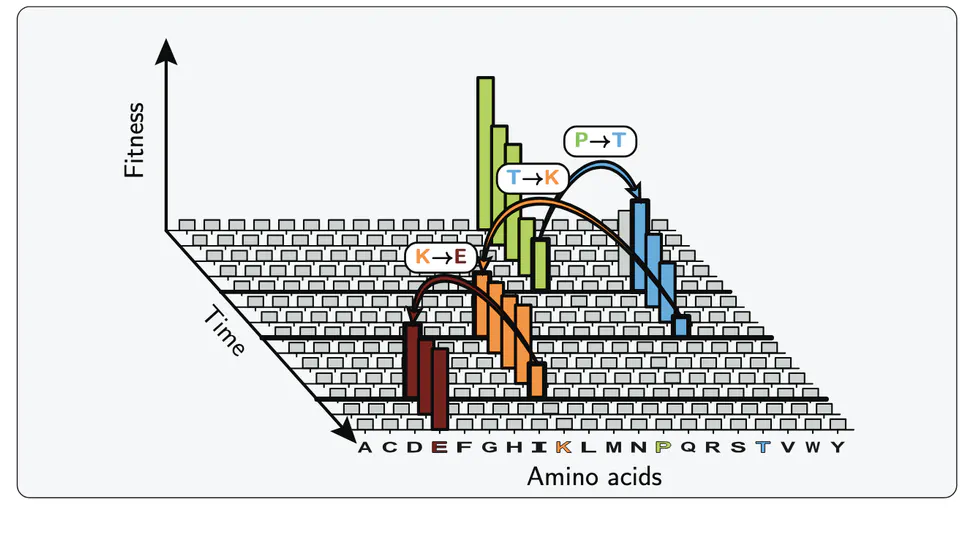 Gene adaptation across scales