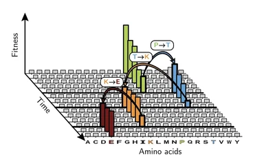 Gene adaptation across scales featured image
