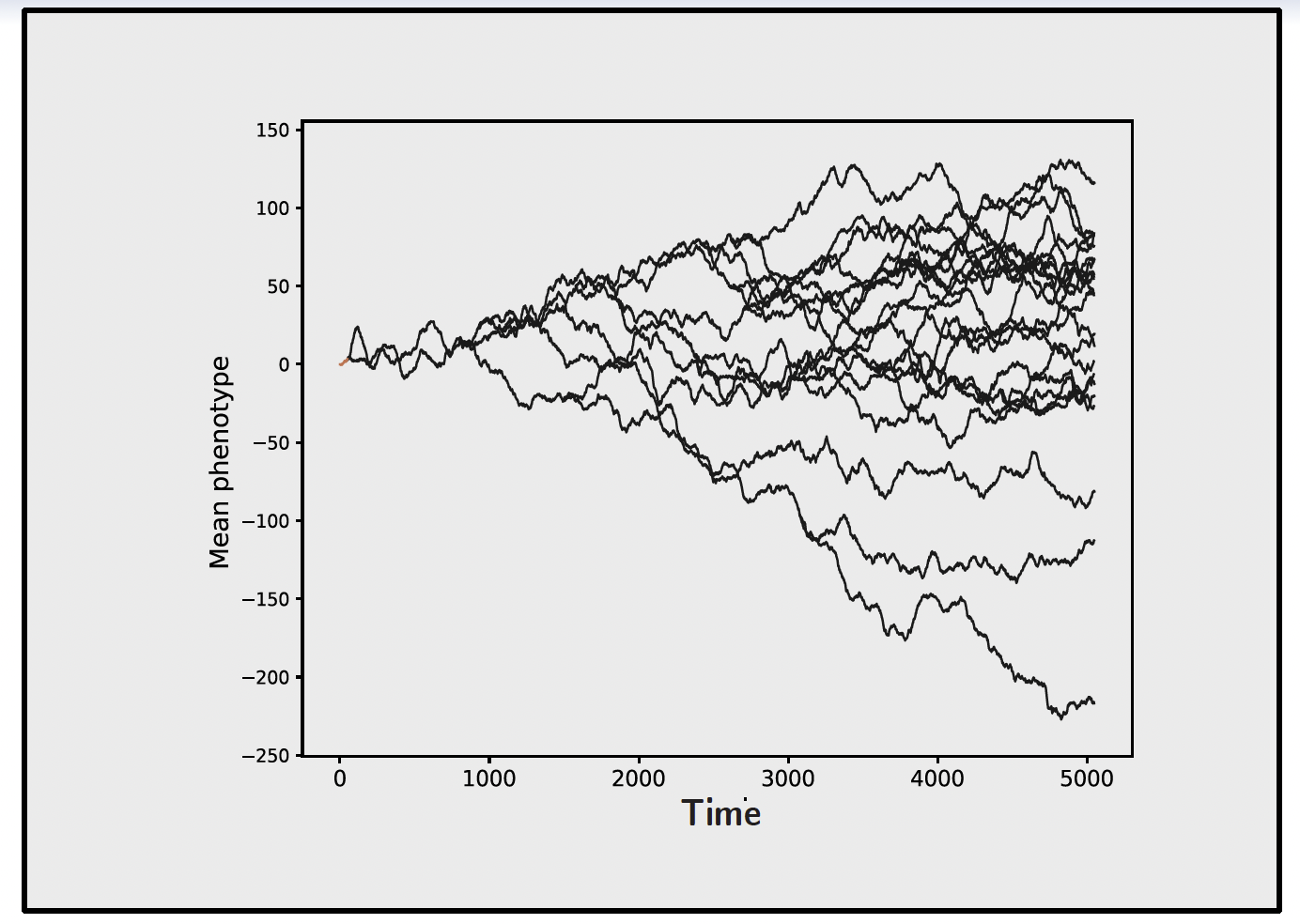 Under Brownian motion, independent lineages diverge from a common ancestor as the number of elapsed generations increases. Each trajectory shows the mean phenotype of one lineage; the spread grows with the square root of the number of generations.