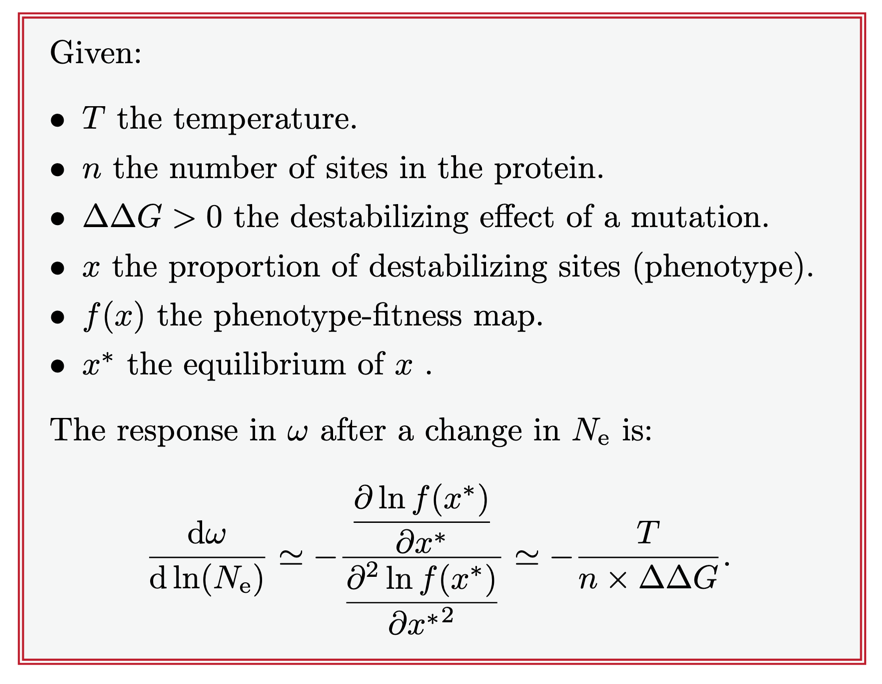 Summary of the analytical derivation. The response in $\omega$ to a change in $N_e$ is approximately $-T / (n \times \Delta\Delta G)$, giving a negative relationship: larger populations evolve their proteins more slowly.