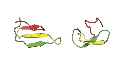Changing effects of mutations featured image