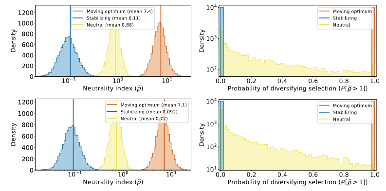 simulations