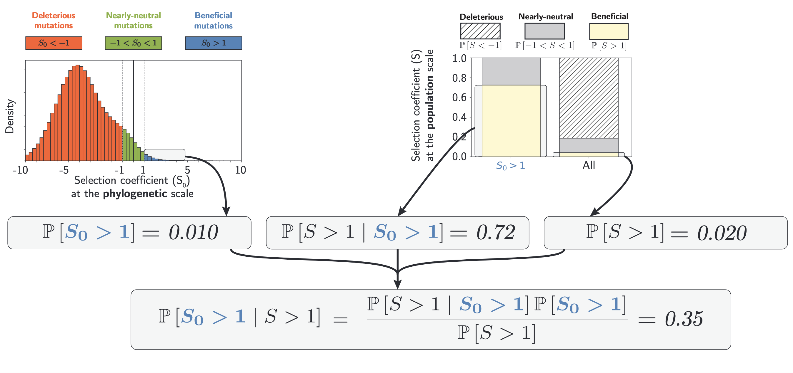 bayes