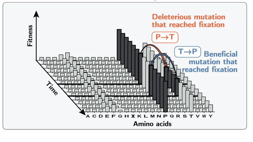 Fitness prediction across scales