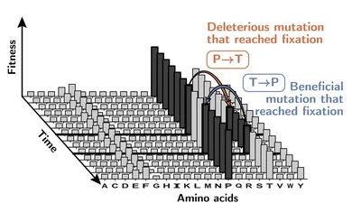 Fitness prediction across scales featured image